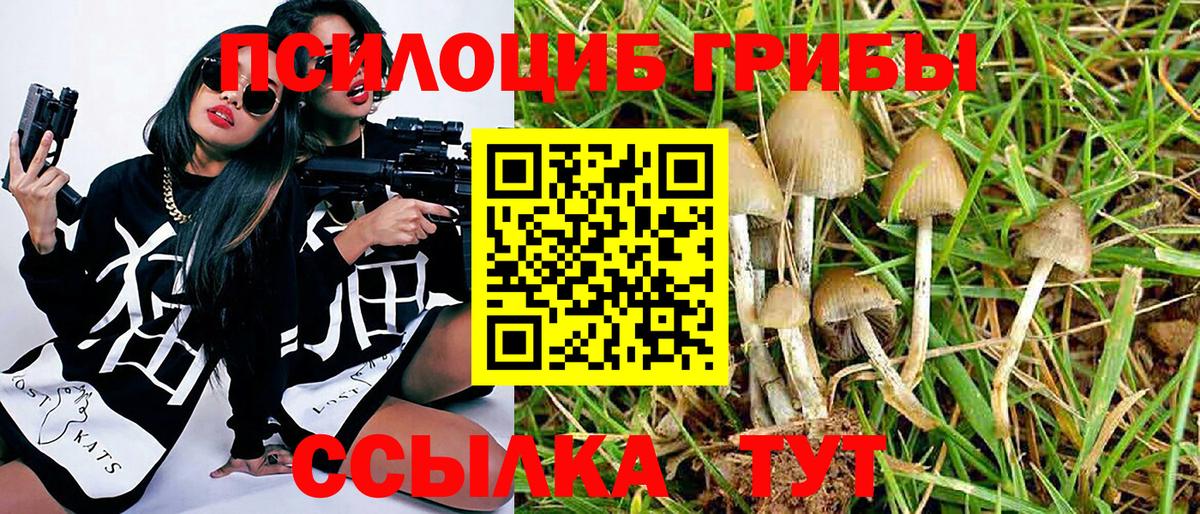 Галлюциногенные грибы GOLDEN TEACHER  Вход с VPN  Псилоцибиновые грибы Psilocybine cubensis  Губкинский 