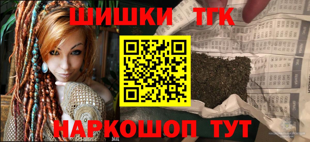 Канабис сатива Губкинский